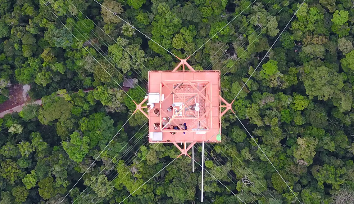 Aerial photo of the ATTO Tower in the Brazilian rainforest